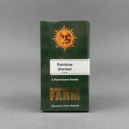 Barneys - Rainbow Sherbet Feminized