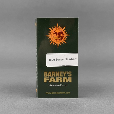 Barneys - Blue Sunset Sherbert Feminized